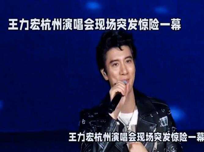 王力宏演唱会真假力宏合唱事件回顾